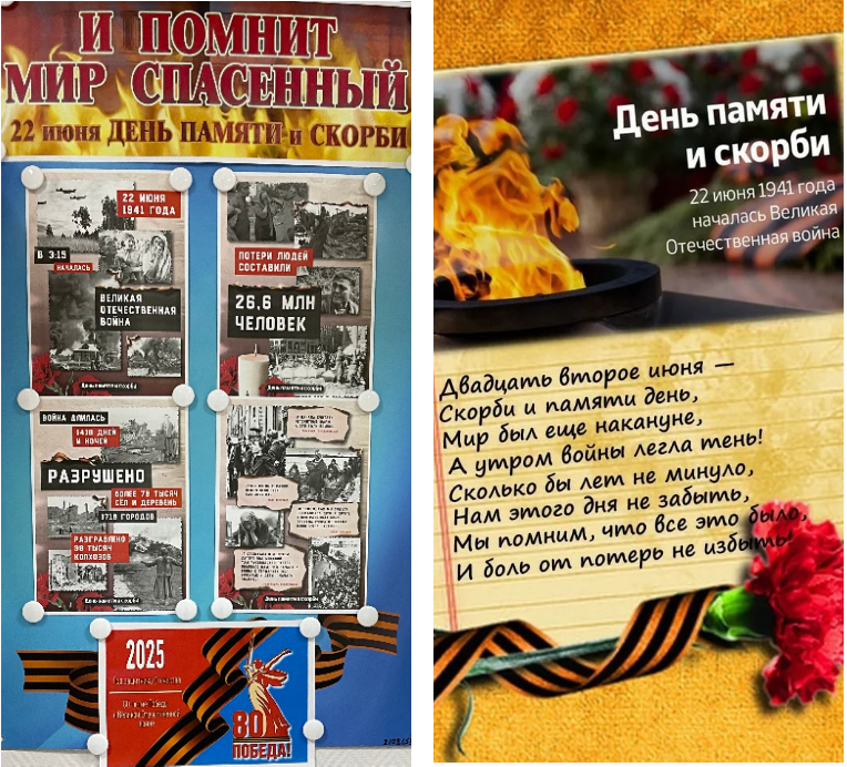collage2.png