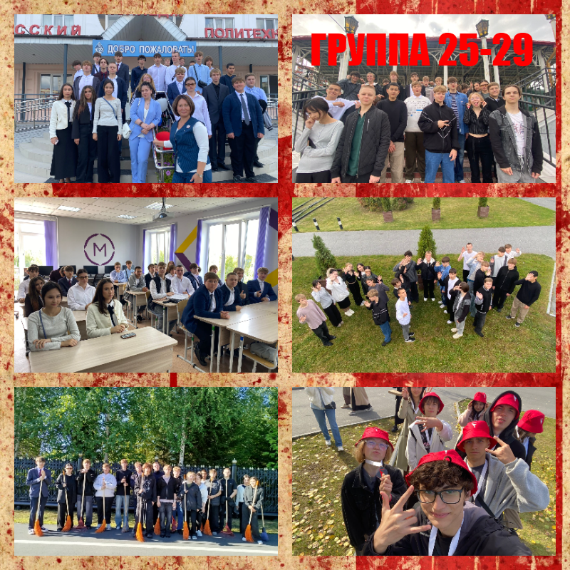 collage (7).png
